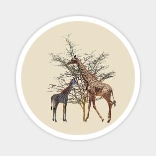 Giraffe - Wildlife - Africa Magnet